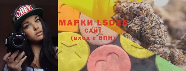 гидра Магас