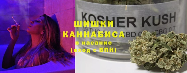 индика Лихославль