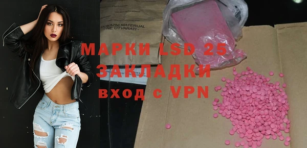 индика Лихославль