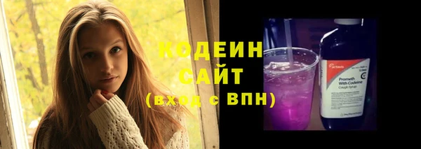 индика Лихославль
