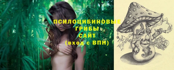 индика Лихославль