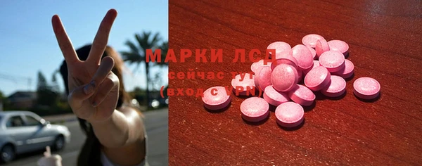 индика Лихославль