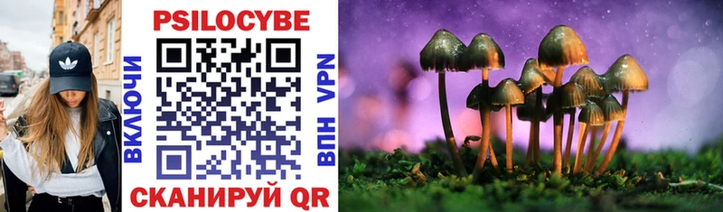 Галлюциногенные грибы Magic Shrooms Малмыж