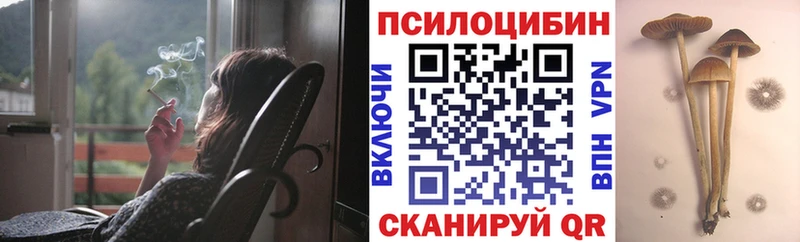 Купить закладки  Малмыж  Псилоцибиновые грибы MAGIC MUSHROOMS 