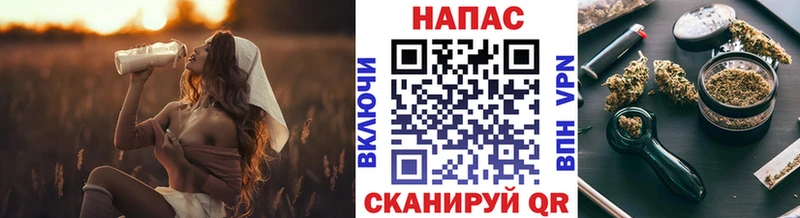 Бошки марихуана планчик  Купить  Малмыж 